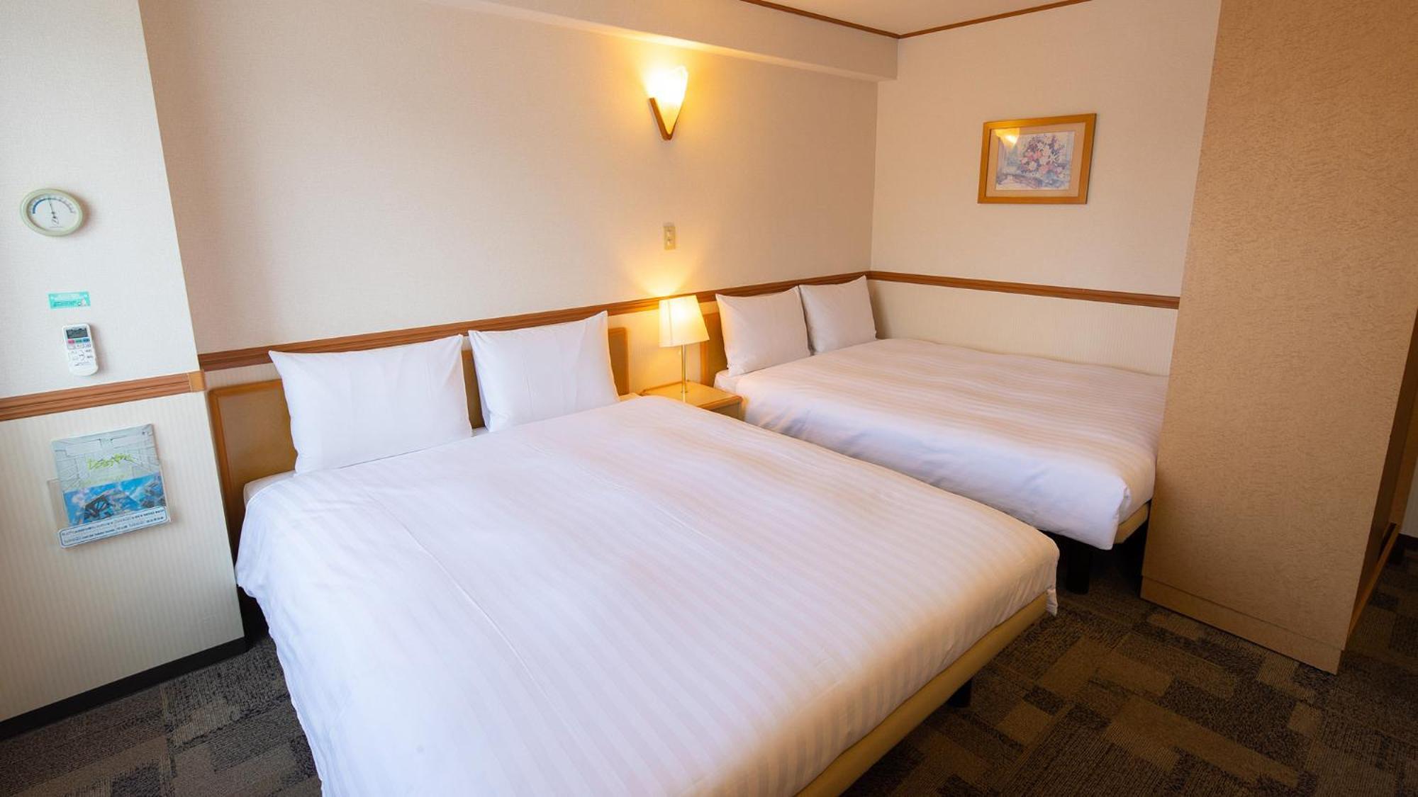 Toyoko Inn Kagoshima Chuo Eki Nishi Guchi Rum bild
